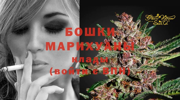 каннабис Инта