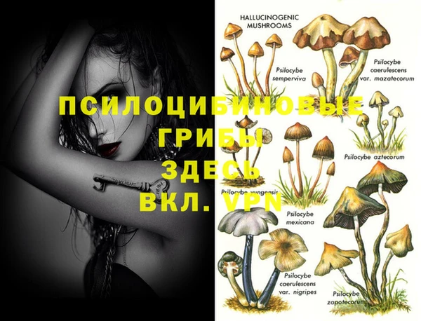 дживик Иннополис