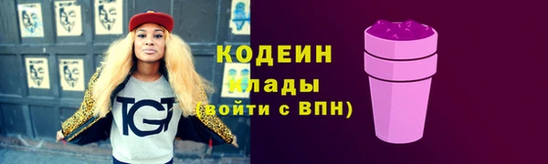 дживик Иннополис