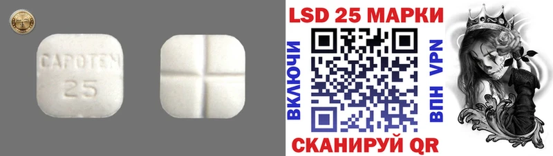 LSD-25 экстази ecstasy  Купить где  Нелидово 