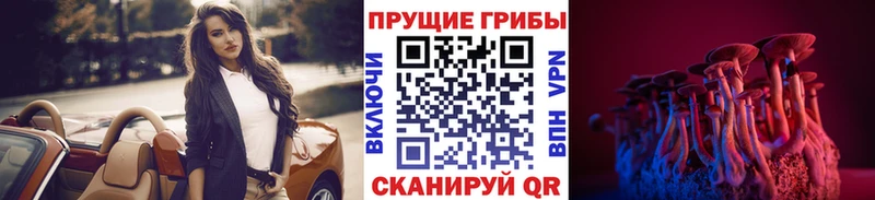 Купить где  Нелидово  Псилоцибиновые грибы прущие грибы 